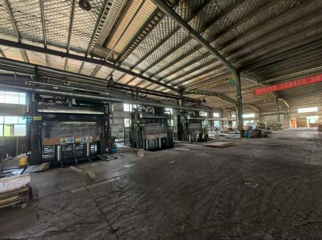 百色市大型木板加工廠高價拍出 產業轉型升級釋放新信號