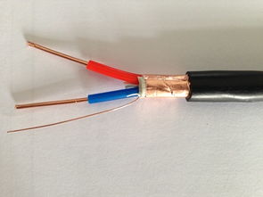 ZR-KVVP2-16×2.5 阻燃控制屏蔽電纜 國標(biāo)品質(zhì)，廠價直銷的專業(yè)之選